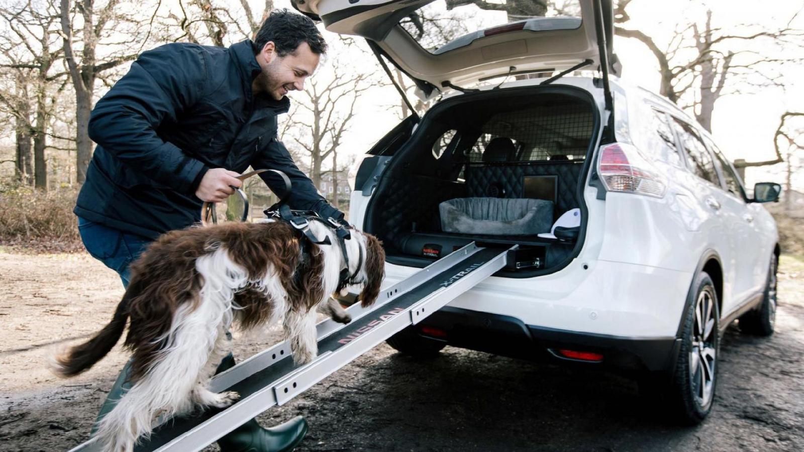 Skoda e gli amici a 4 zampe