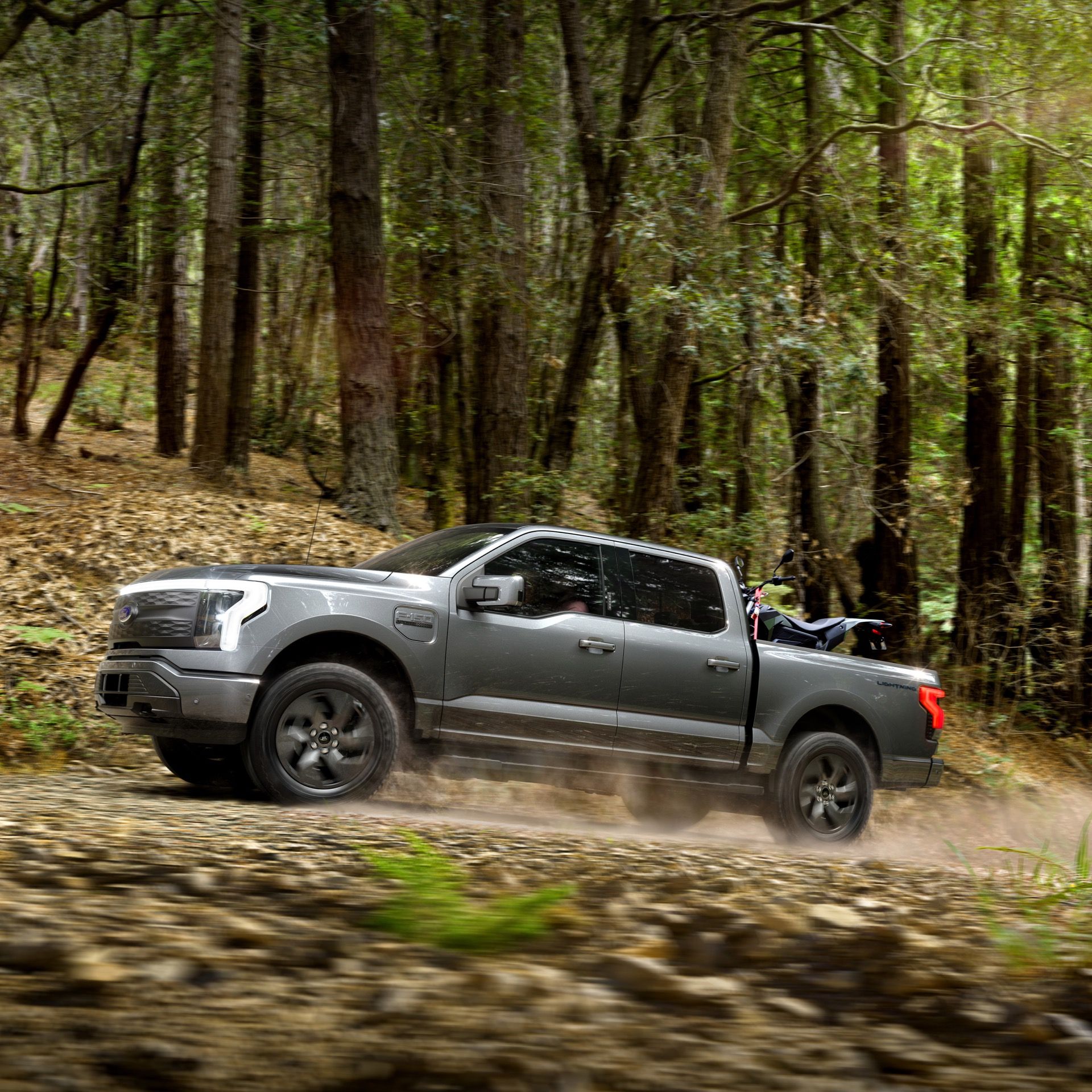 Ford-F-150-Lightning - 10_0.jpg