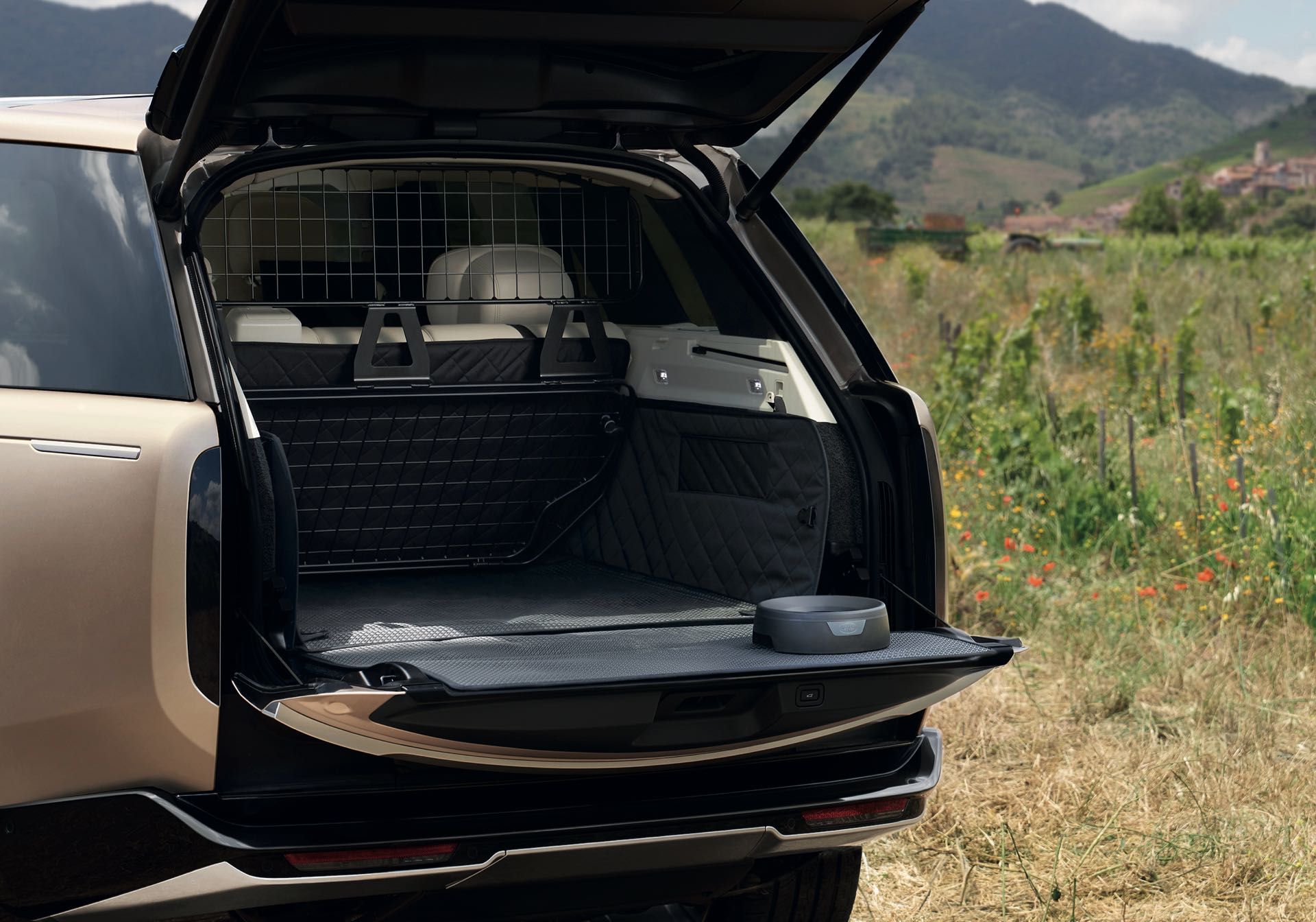 Land-Rover-Range-Rover-evolution - 10.jpg