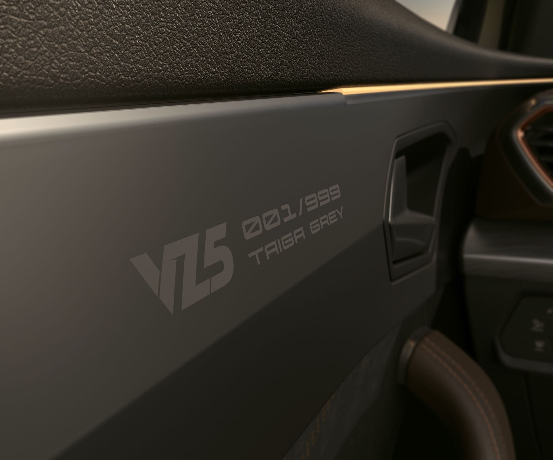 CUPRA-Formentor-VZ5-Taiga-Grey - 4.jpg