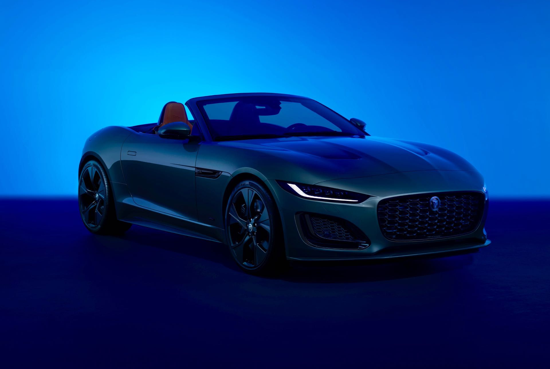Jaguar-F-Type-75-1.jpg