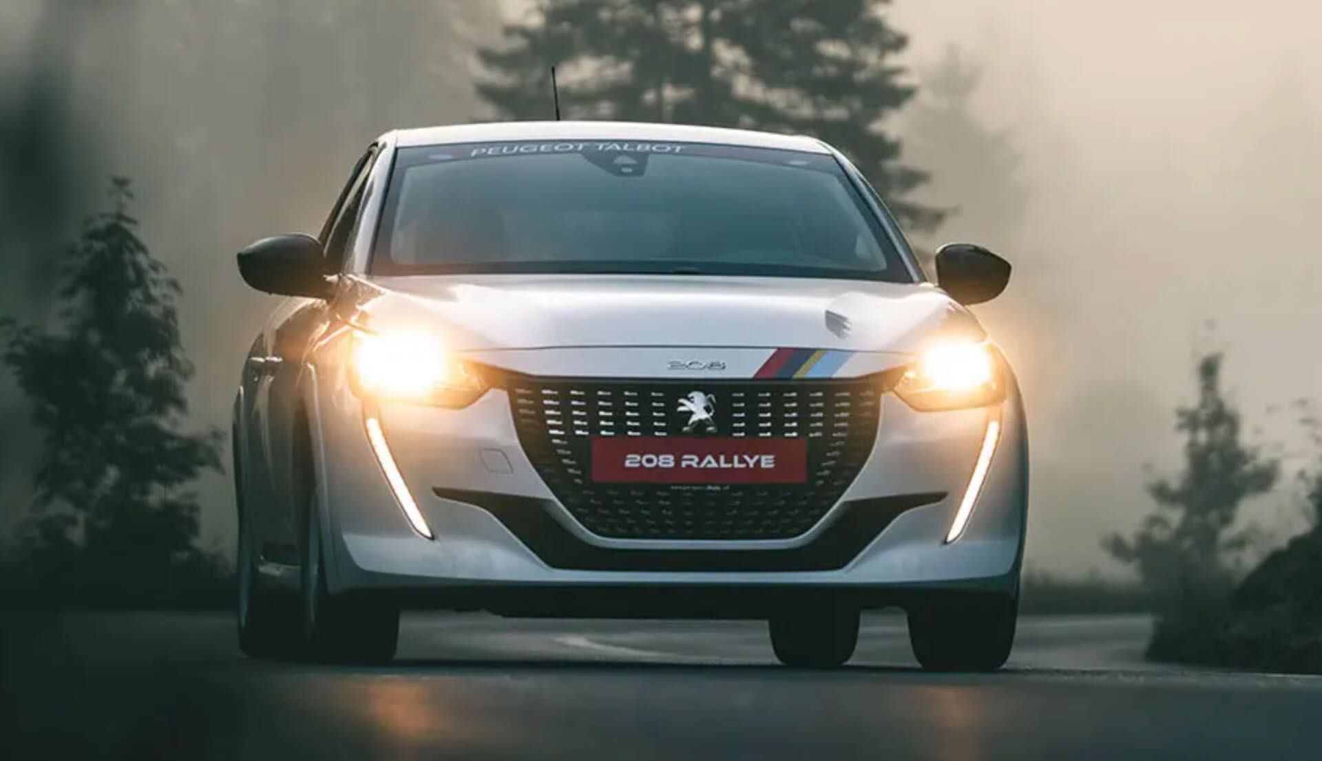 Peugeot-208-Rallye-1.jpeg