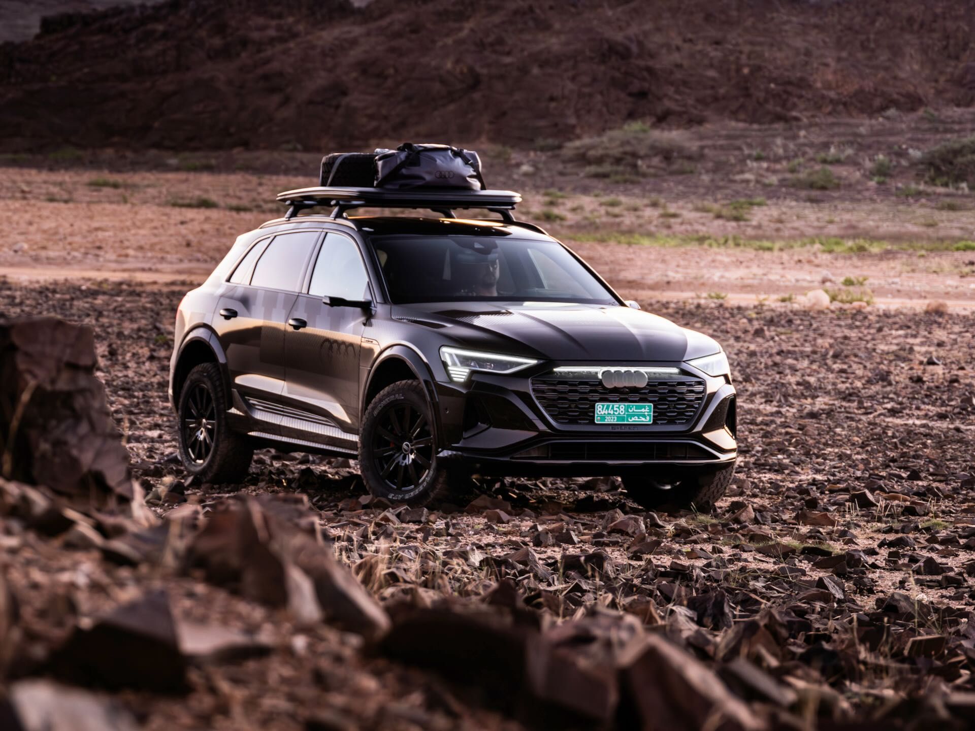 Audi-Q8-e-tron-edition-Dakar-14.jpeg