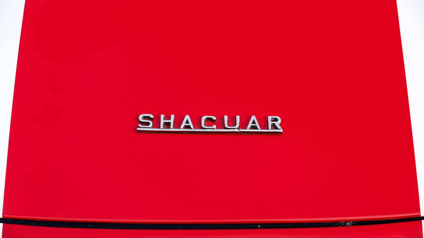 Jaguar-E-Type-Shaguar-Austin-Powers_143767.jpeg