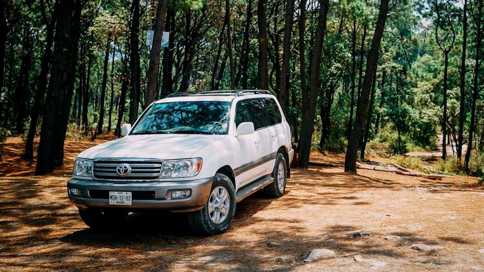 Toyota Mobility Foundation_2.jpeg