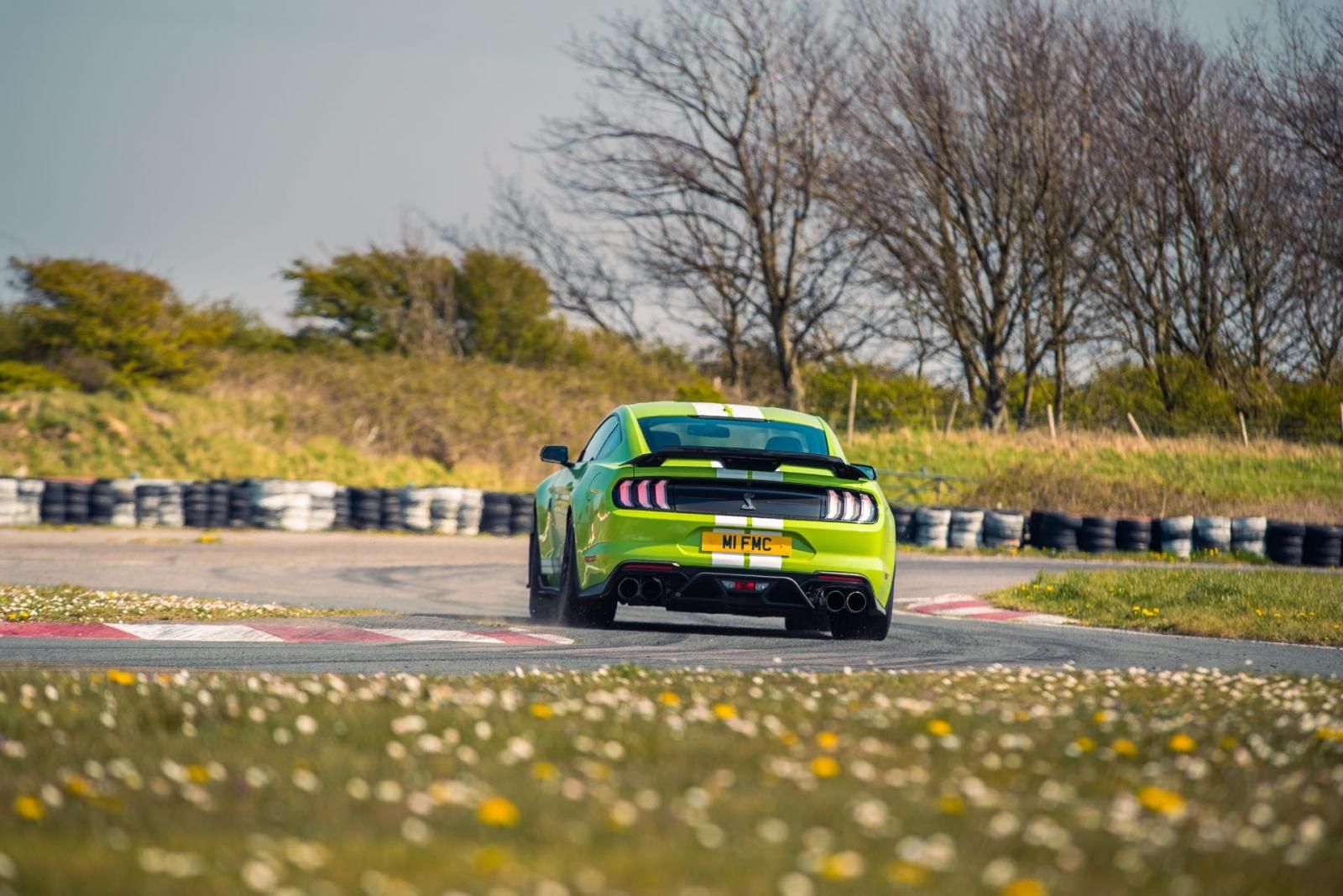 Ford Mustang Shelby GT 500
