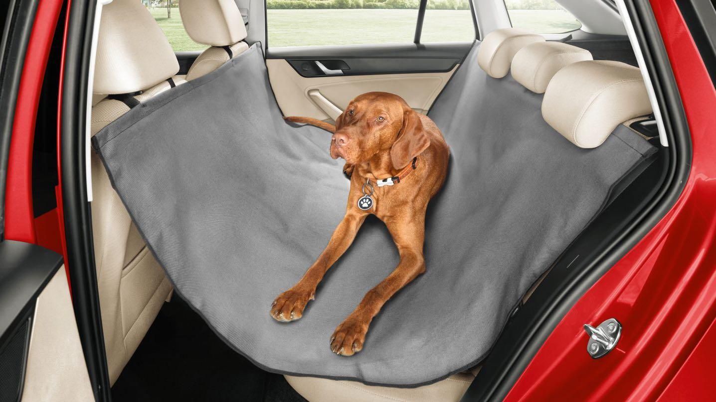 Telo per cani Skoda