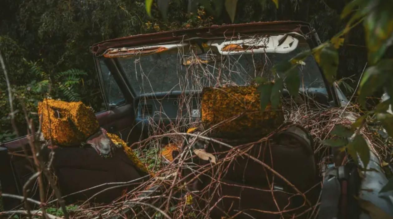 Cimitero delle auto da corsa e da strada del Giappone