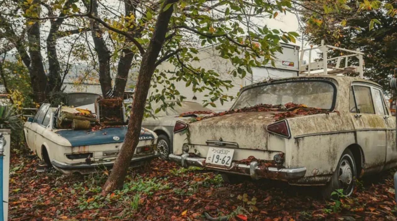 Cimitero delle auto da corsa e da strada Giappone