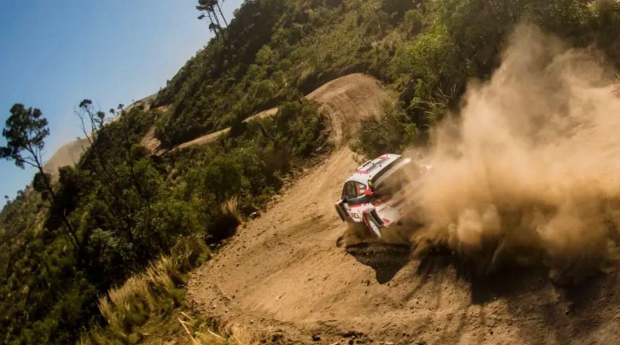 Auto da rally su terra