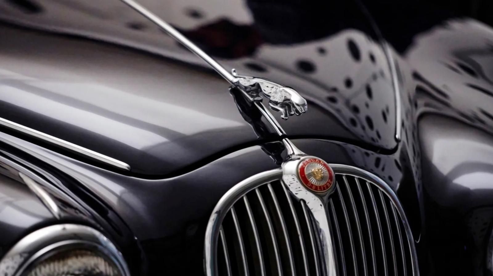 stemma giaguaro Jaguar