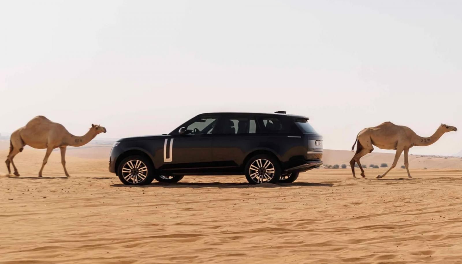 Range Rover Electric